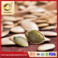 Grade AAA Hot Sale Pumpkin Seed New Crop